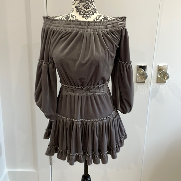 Misa Los Angeles Dresses & Skirts - Misa Velvet Mini Dress